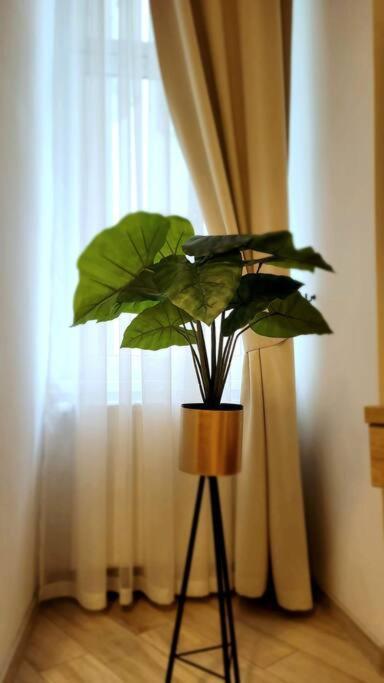 Golden Apartment Bosacka Krakow Old Town 2 Rooms Екстериор снимка